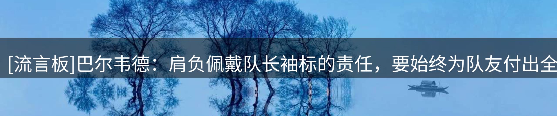 公司导读